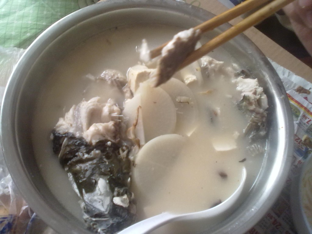 20110220255 萝卜豆腐枸杞草鱼汤