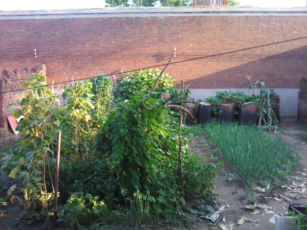 IMG_20110730_180018 归家一日游